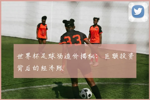 世界杯足球场造价揭秘：巨额投资背后的经济账