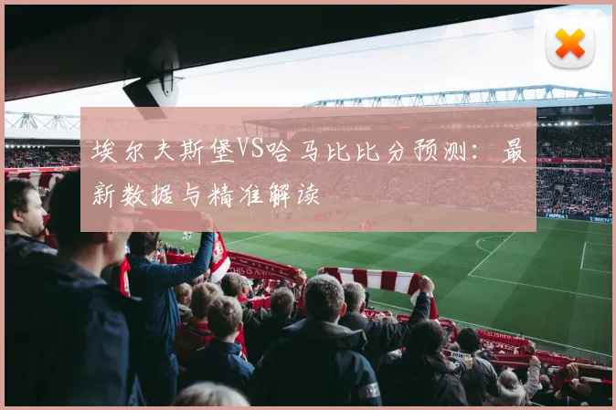埃尔夫斯堡VS哈马比比分预测：最新数据与精准解读