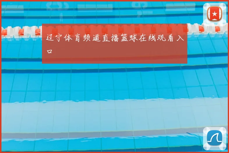 辽宁体育频道直播篮球在线观看入口