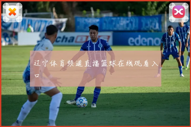 辽宁体育频道直播篮球在线观看入口