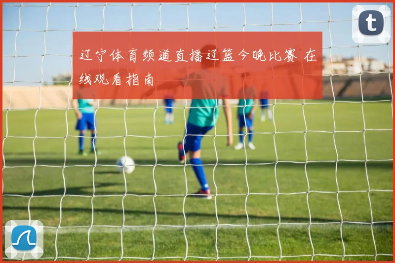 辽宁体育频道直播辽篮今晚比赛 在线观看指南