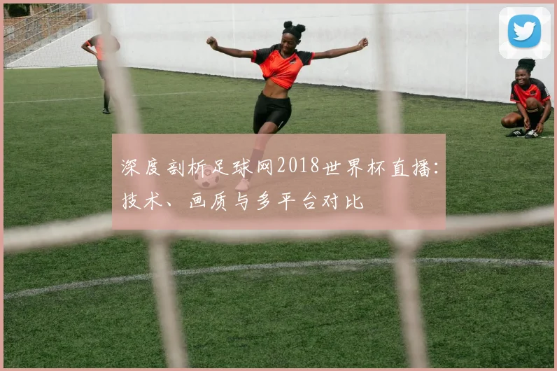 深度剖析足球网2018世界杯直播:技术、画质与多平台对比