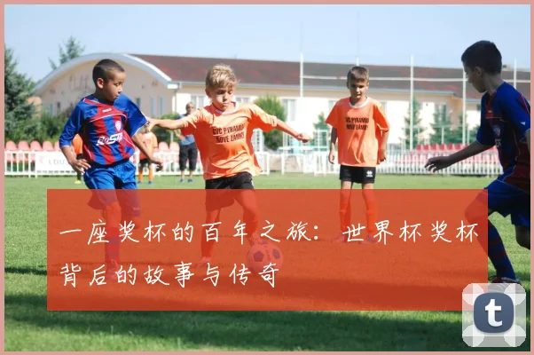 一座奖杯的百年之旅：世界杯奖杯背后的故事与传奇