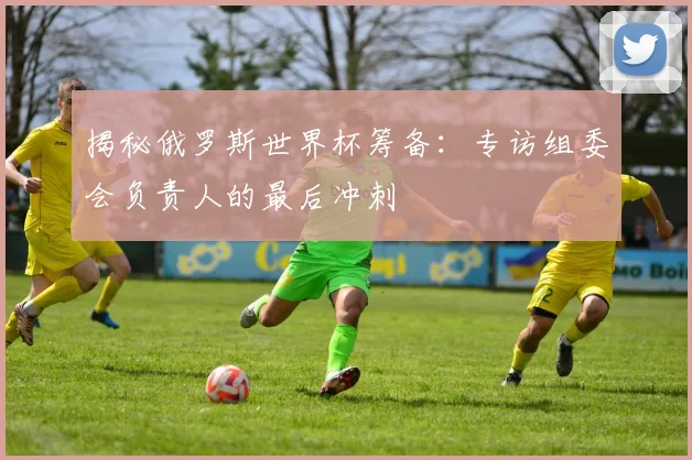 揭秘俄罗斯世界杯筹备:专访组委会负责人的最后冲刺